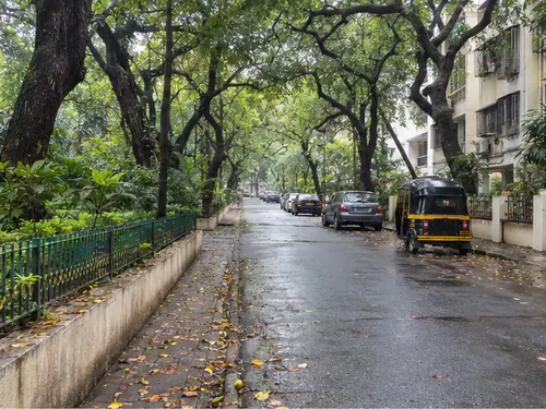 A leafy road under big rain trees in Chembur in the morning
