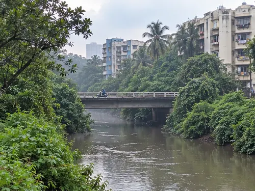 The Dahisar river with a low concrete bridge and trees on its banks in the morning