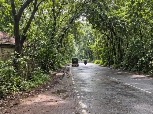 A green road through Aarey Colony in Goregaon East at midday
