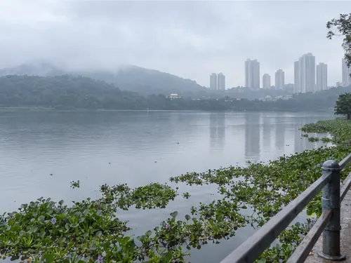 Powai lake on a misty morning with green hills behind